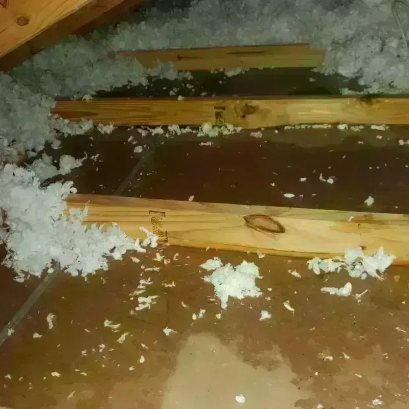 Attic Water Damage in Wallingford Center, CT